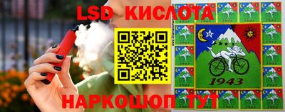 индика Бийск