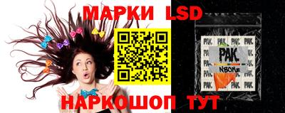 индика Бийск