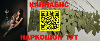 индика Бийск