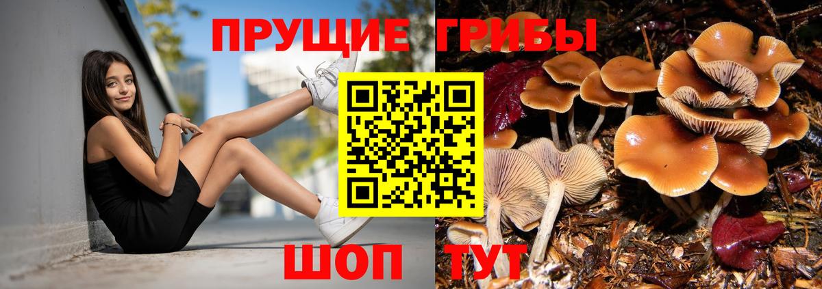 Кизилюрт  Галлюциногенные грибы мицелий  что такое   Вход с VPN 